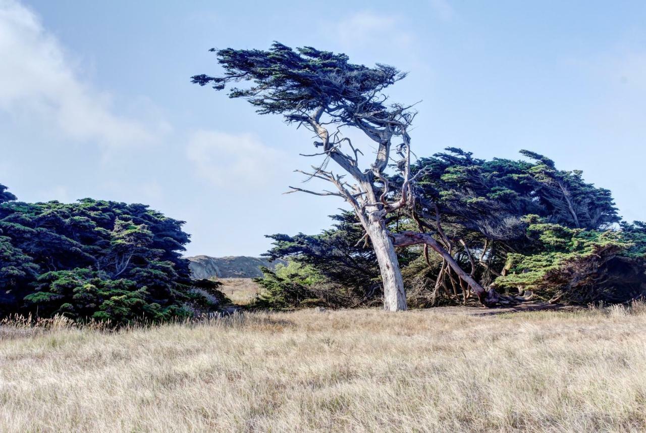 Bayside Cottage Bodega Bay Esterno foto